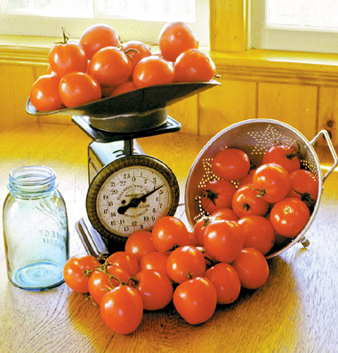 продажа семян томатов bellstar seeds