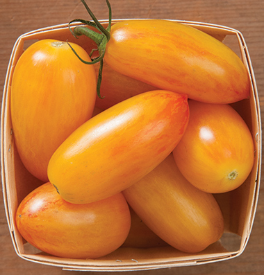 продам семена томатов Blush seeds