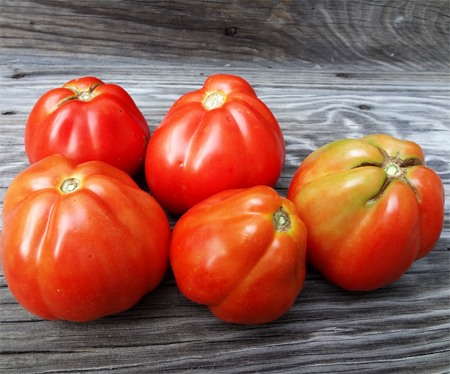 купить семена помидор на весну goldmans italian-american seeds супер урожайный сорт томата
