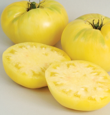 продажа семян томатов сорт Great White seeds