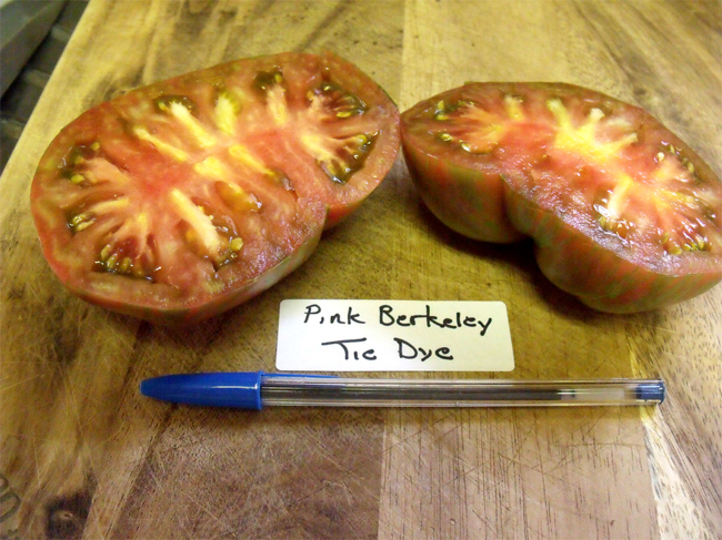 семена помидор много сортов Pink Berkeley Tie Dye seeds новинка мировой селекции
