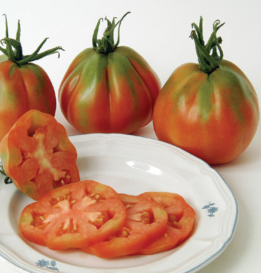 купить семена томатов сорт Red Pear Piriform seeds