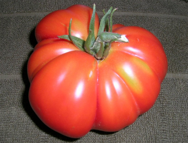 коллекция семян томатов Red Pear Piriform seeds collection