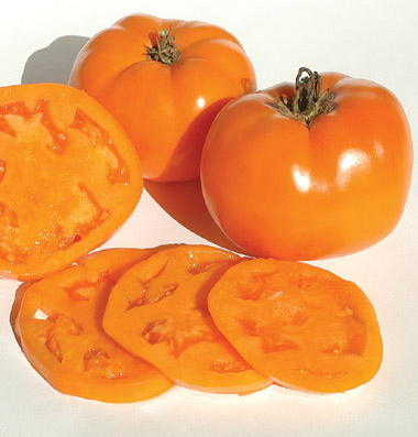 распродажа семян томатов валенсия valencia seeds