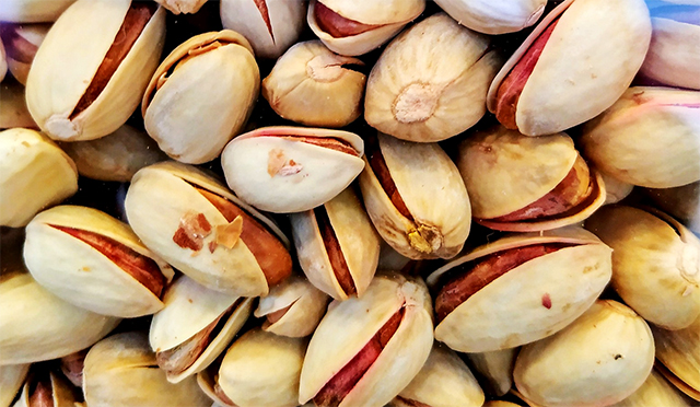 продажа семена фисташка настоящая pistacia vera seeds sale в интернет магазине семян растений сидландия
