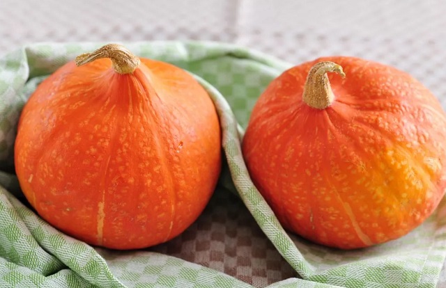 семена тыквы хоккайдо hokkaido seeds pumpkin