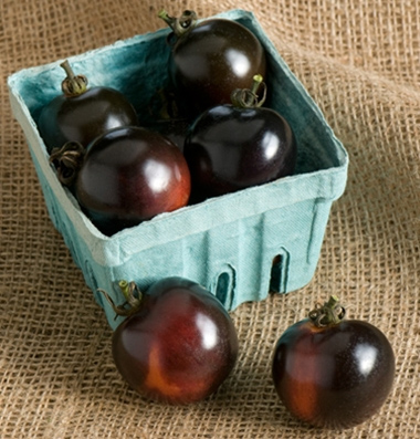 продажа семян томатов indigo rose seeds